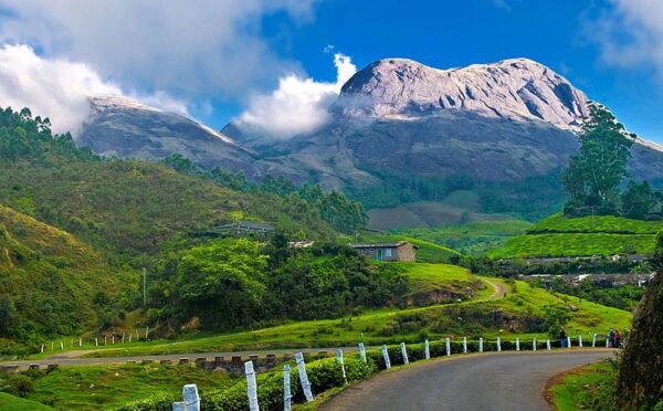 Munnar Tour Packages 2 Nights 3 Days