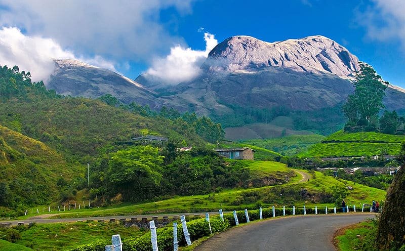 Munnar Tour Packages 2 Nights 3 Days