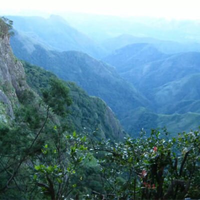 Kodaikanal Forest Tour Package