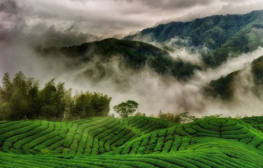Ooty Holiday Tour Package – 1 Night1 / 2 Days