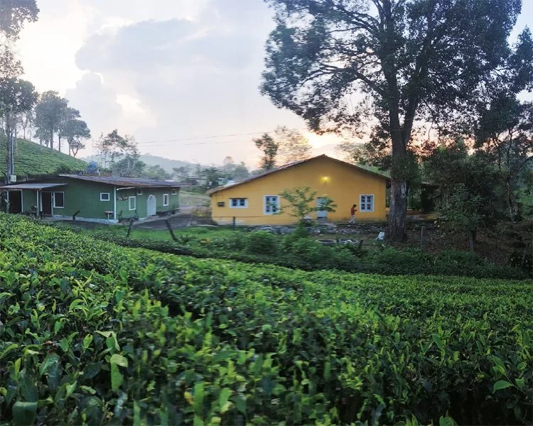 Bison Valley Homestay