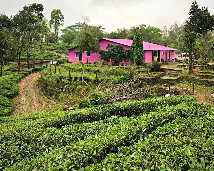 Elephant Valley Homestay